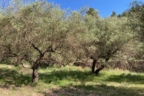 Landejendom i El Perello, Tarragona, El Perello - € 36.000 | Ref: Finca Montanas - foto 33